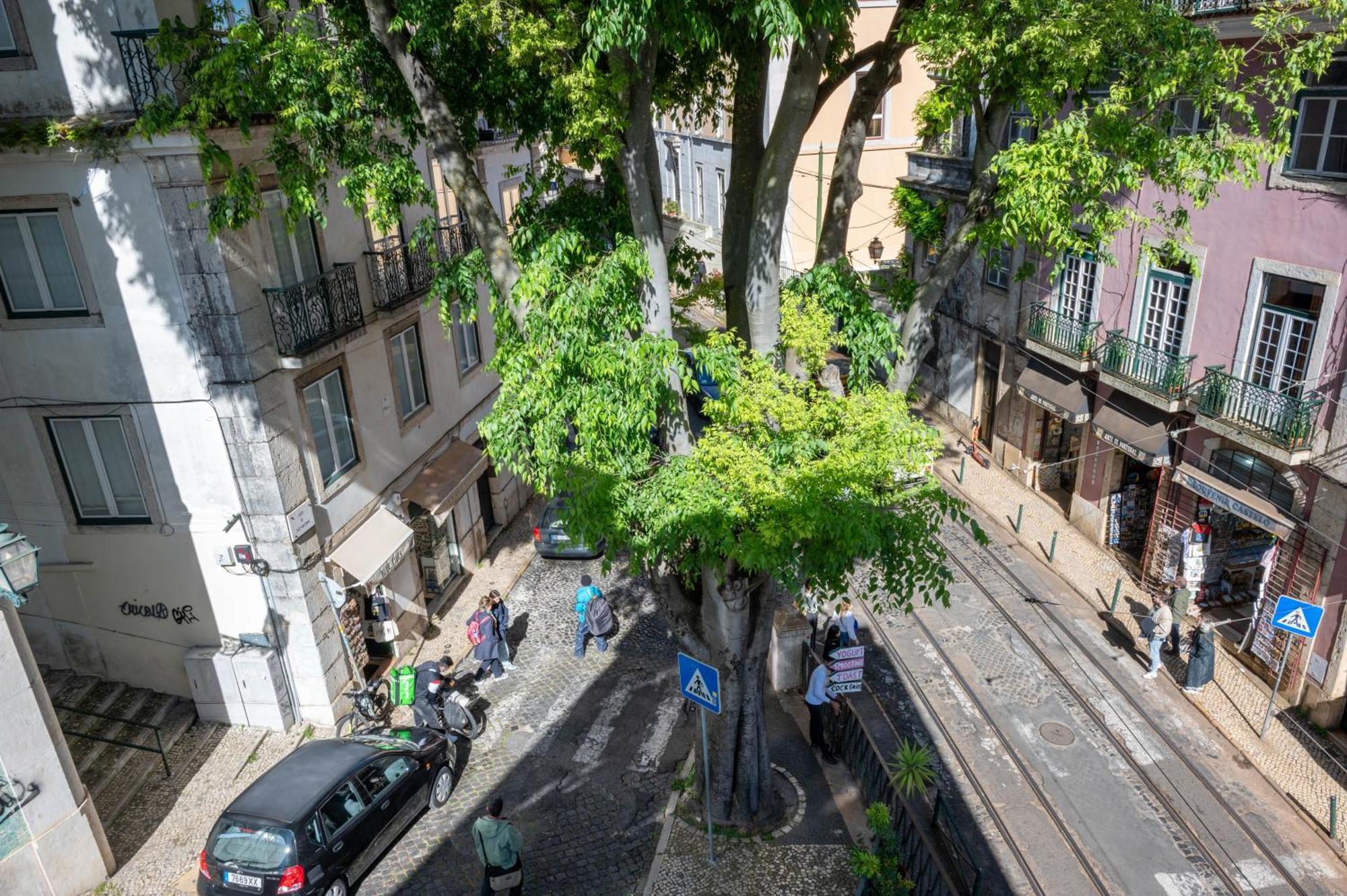 Portas Do Teatro Apartments Lisboa Rum bild